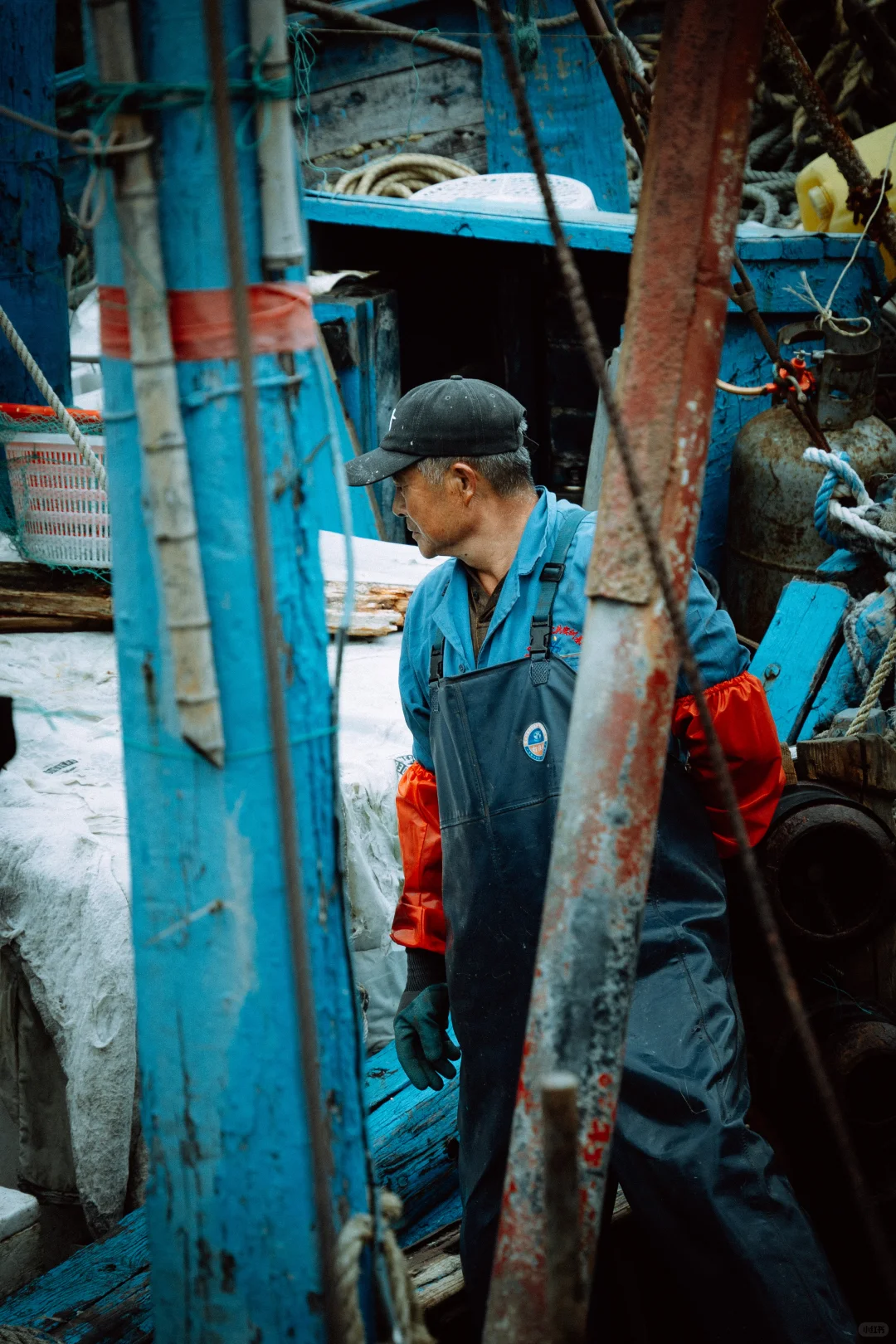 在忙碌的码头看热闹 青岛小港码头 好吃好拍