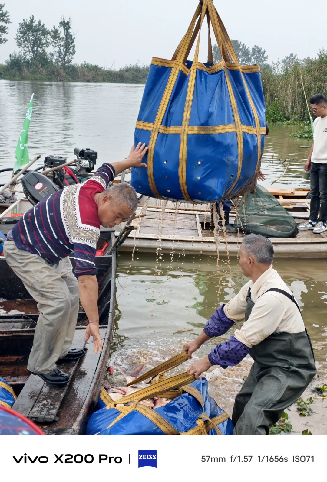 开湖啦！渔村又热闹起来了