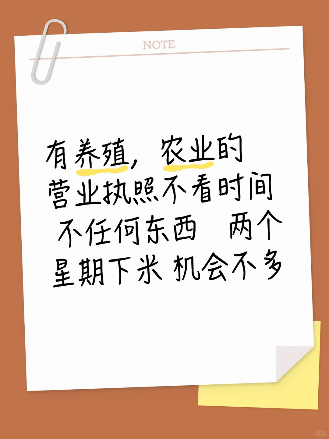 机会不到 就这一期 想要的赶快来了