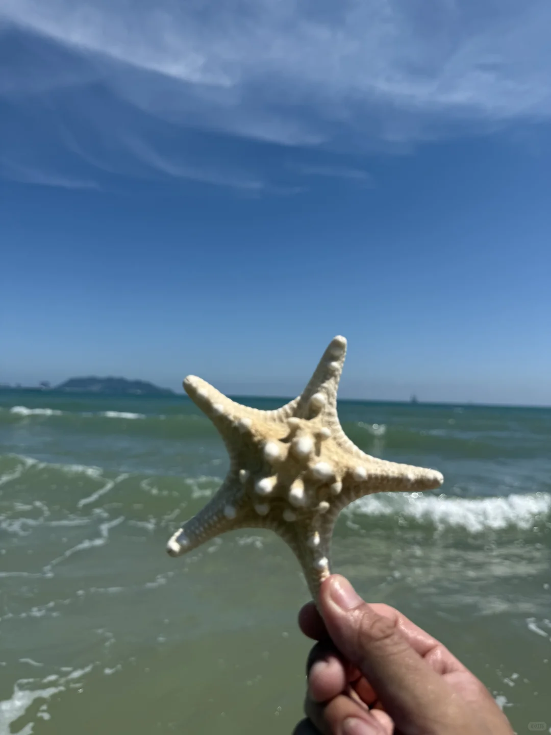 陵水的海里真有点东西