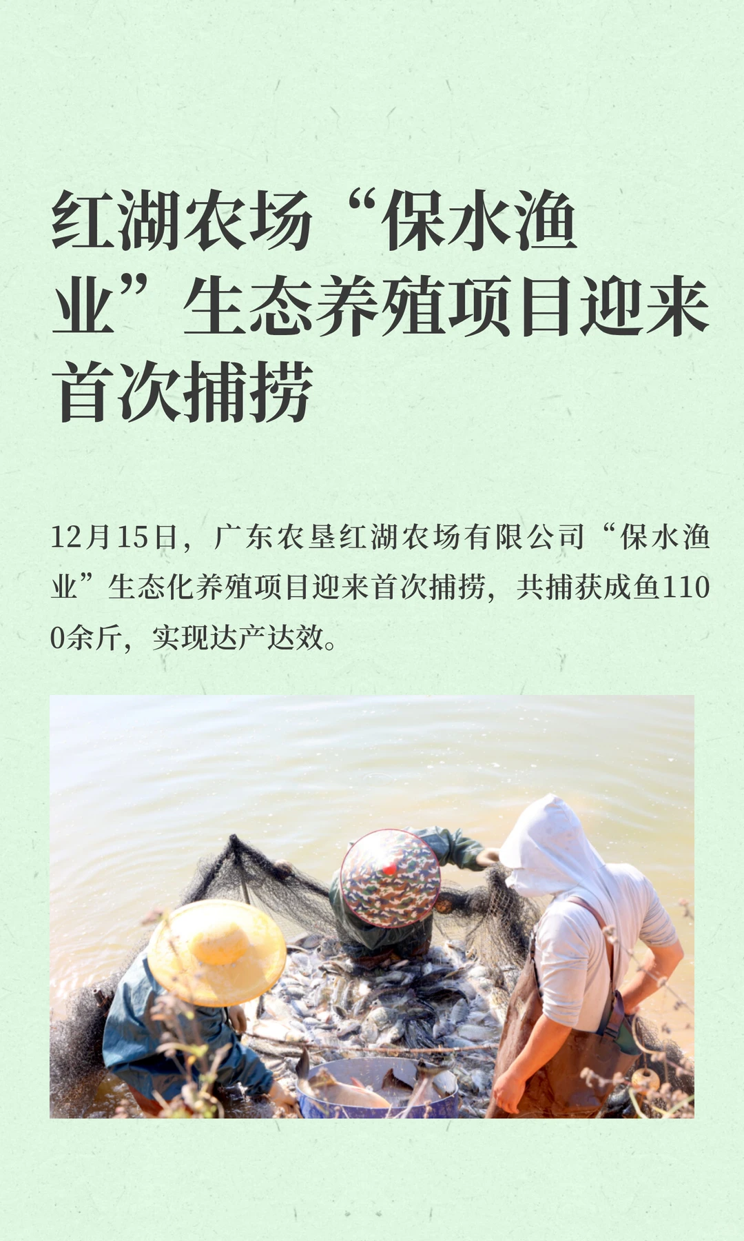 红湖农场“保水渔业”生态养殖项目