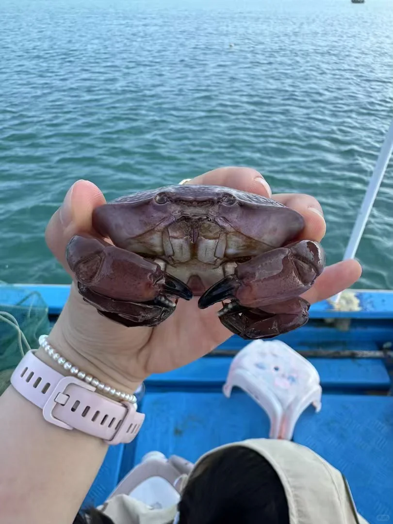 陵水的海里真有点东西