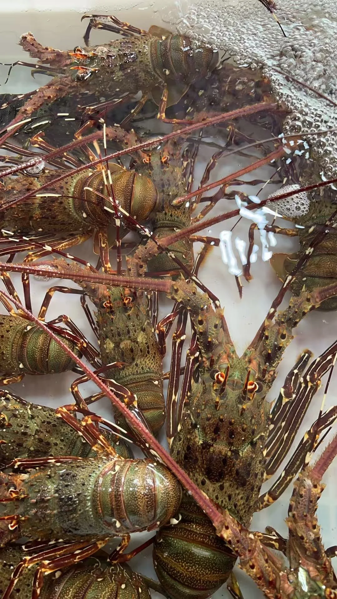 渔船回港啦！渔民出海捕鱼日常生活