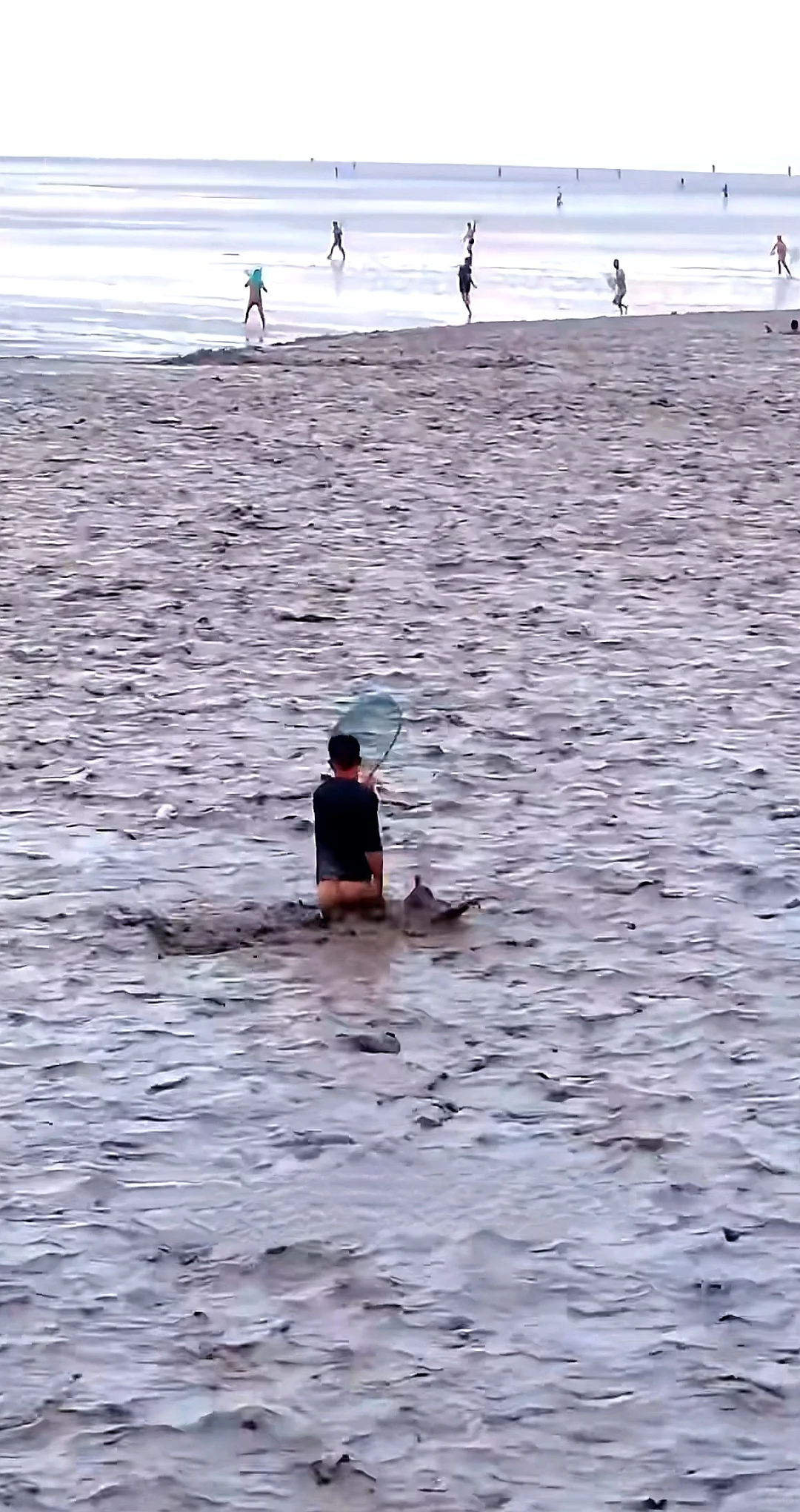 潮尖上的非遗 ～ 抢潮头鱼