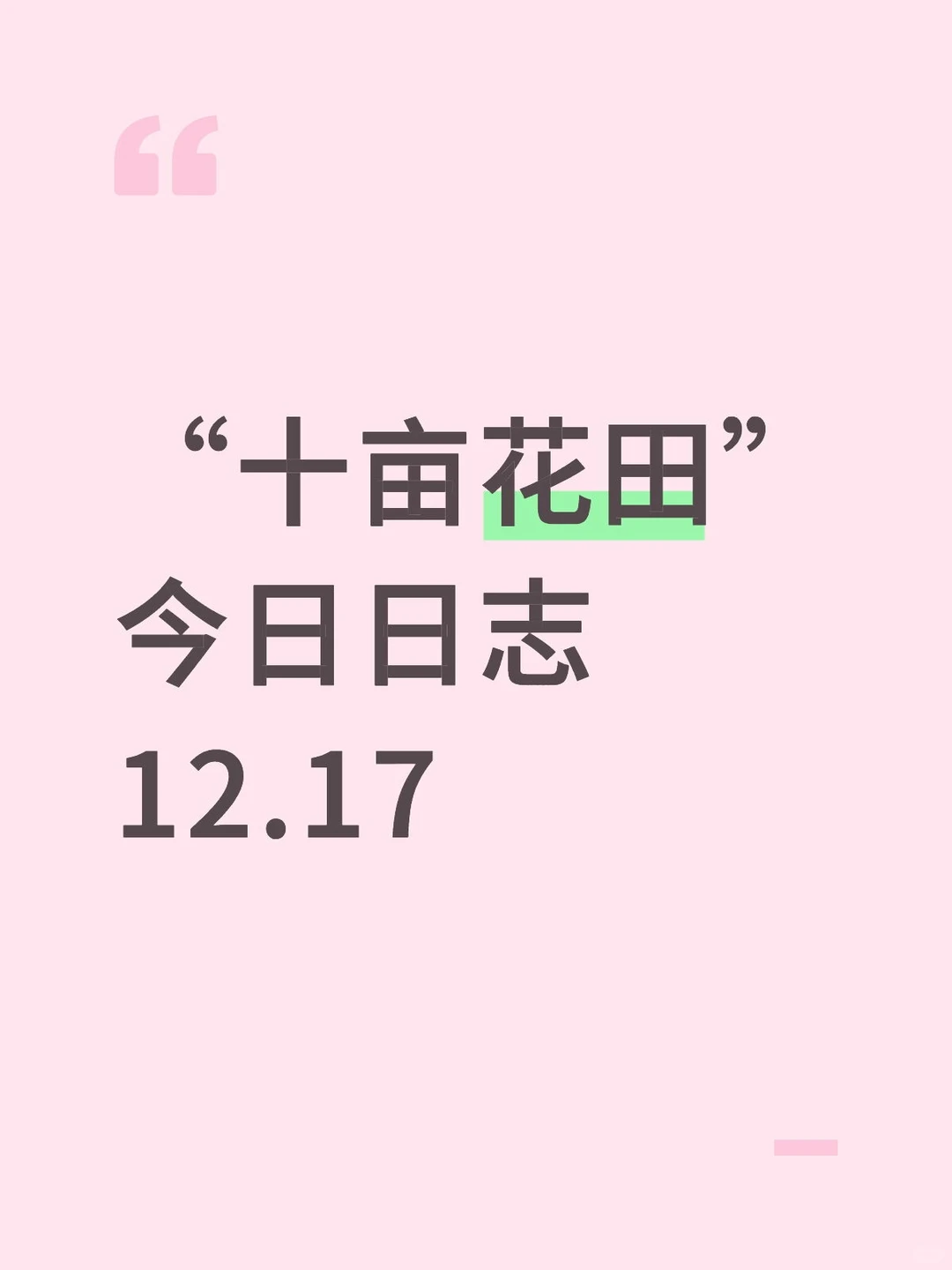 “十亩花田”12.17日志