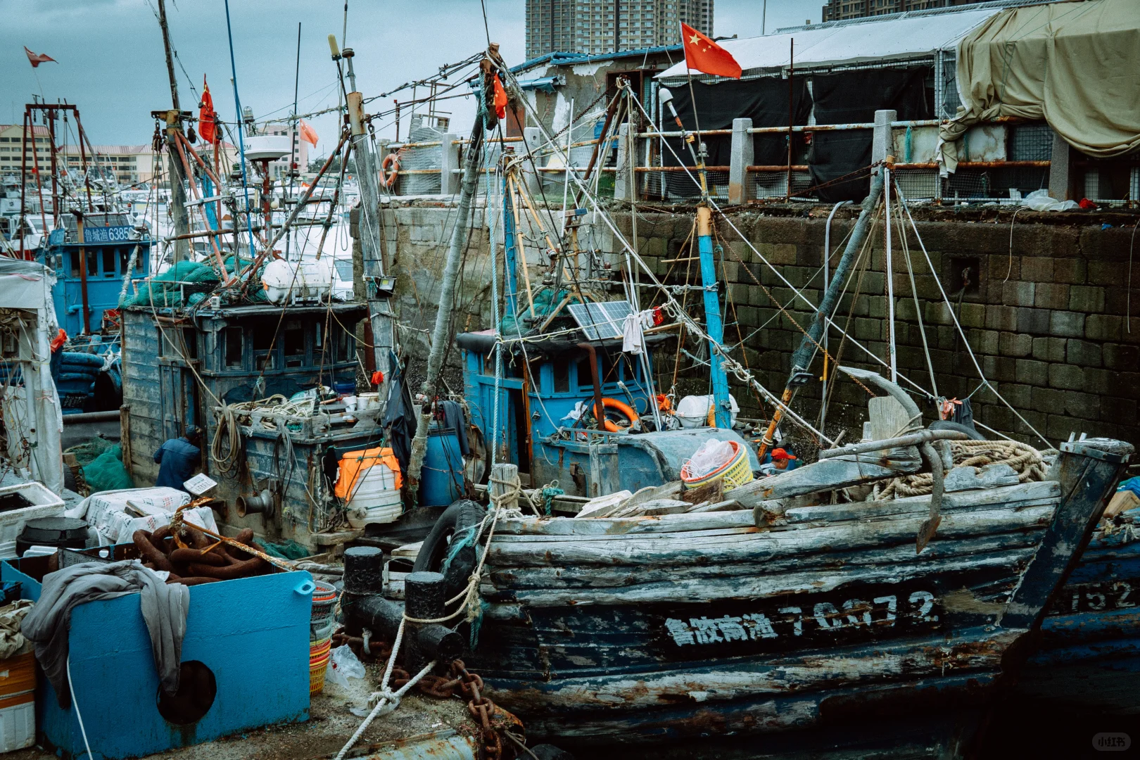 在忙碌的码头看热闹 青岛小港码头 好吃好拍