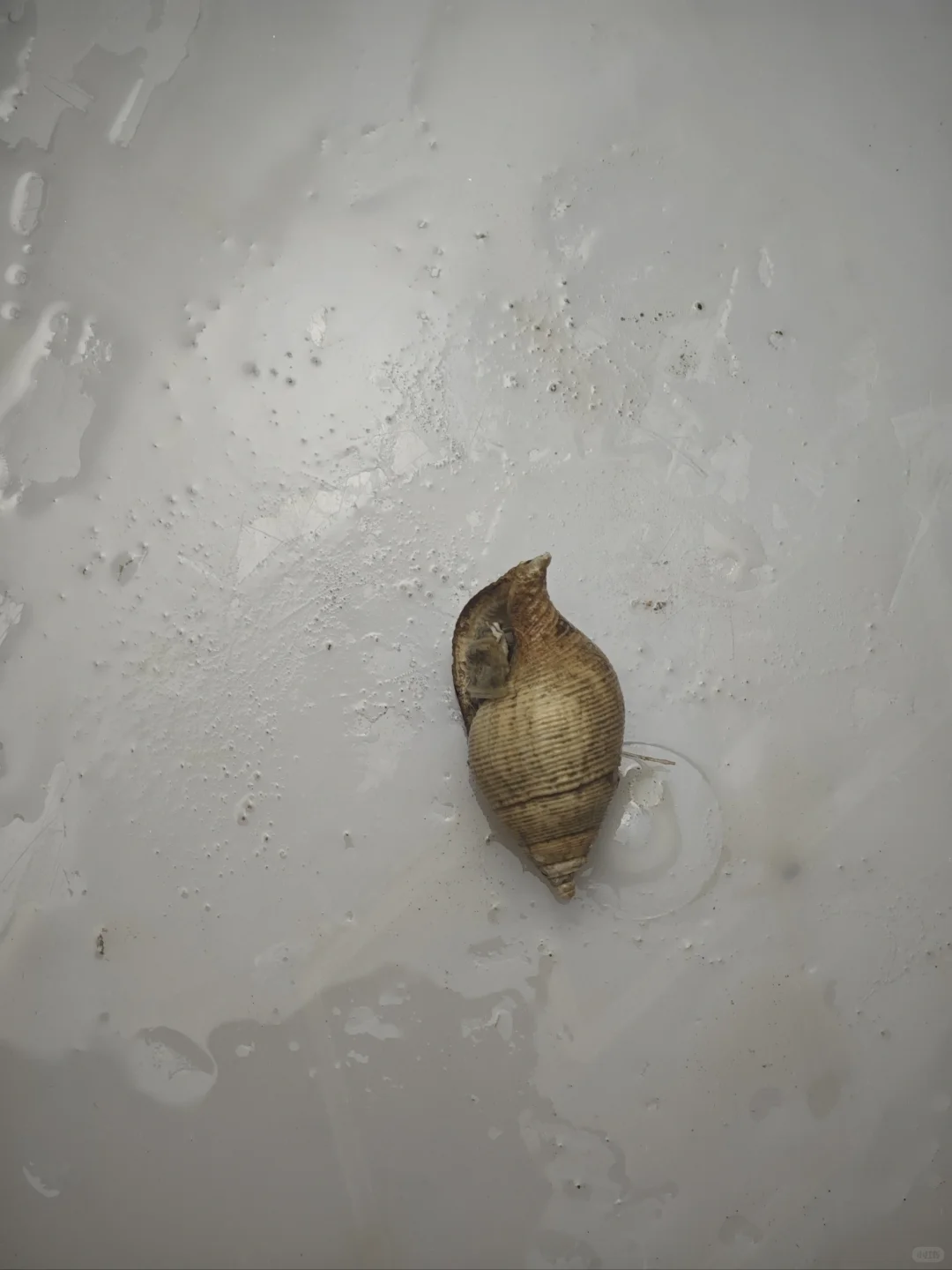 南海深水采集11 200-500米