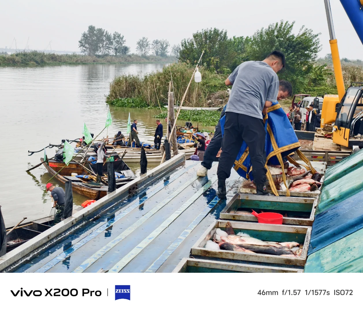 开湖啦！渔村又热闹起来了