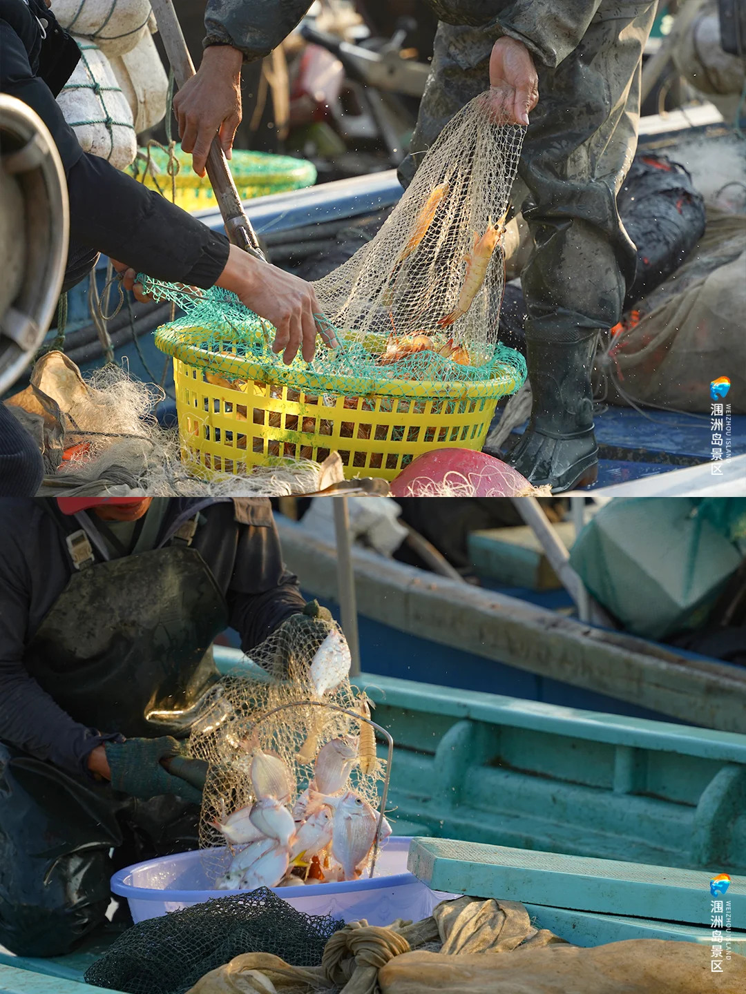 开海啦！是时候去涠洲岛吃海鲜了！