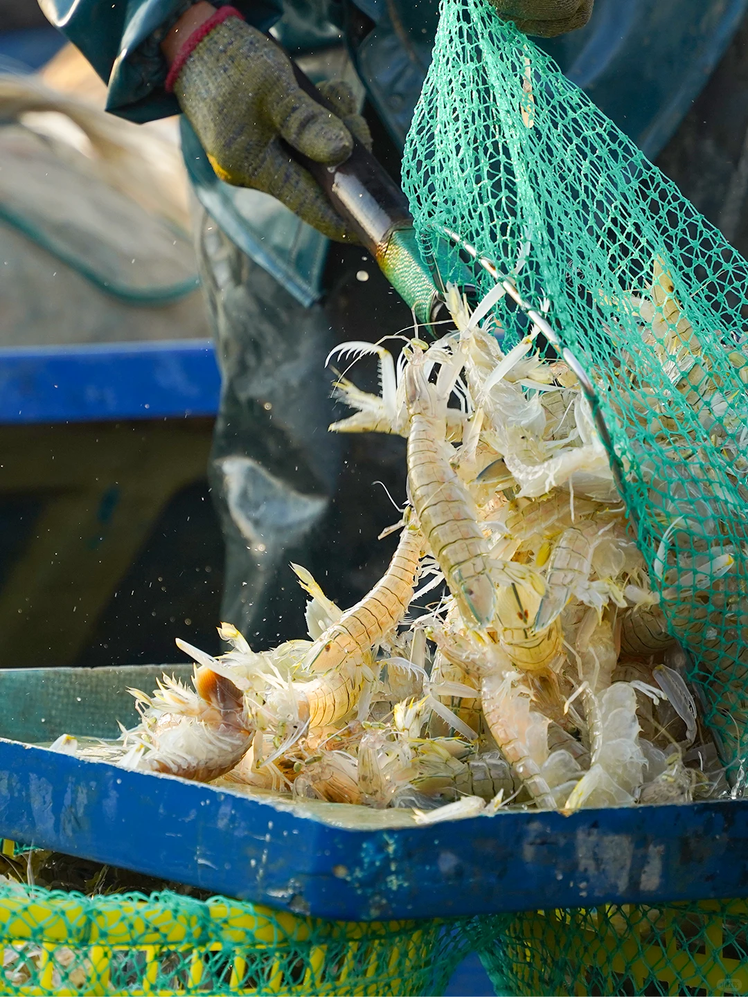 开海啦！是时候去涠洲岛吃海鲜了！