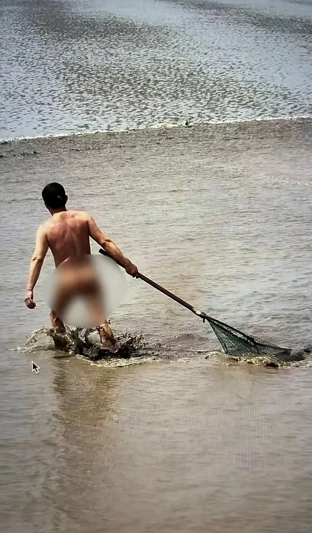 潮尖上的非遗 ～ 抢潮头鱼