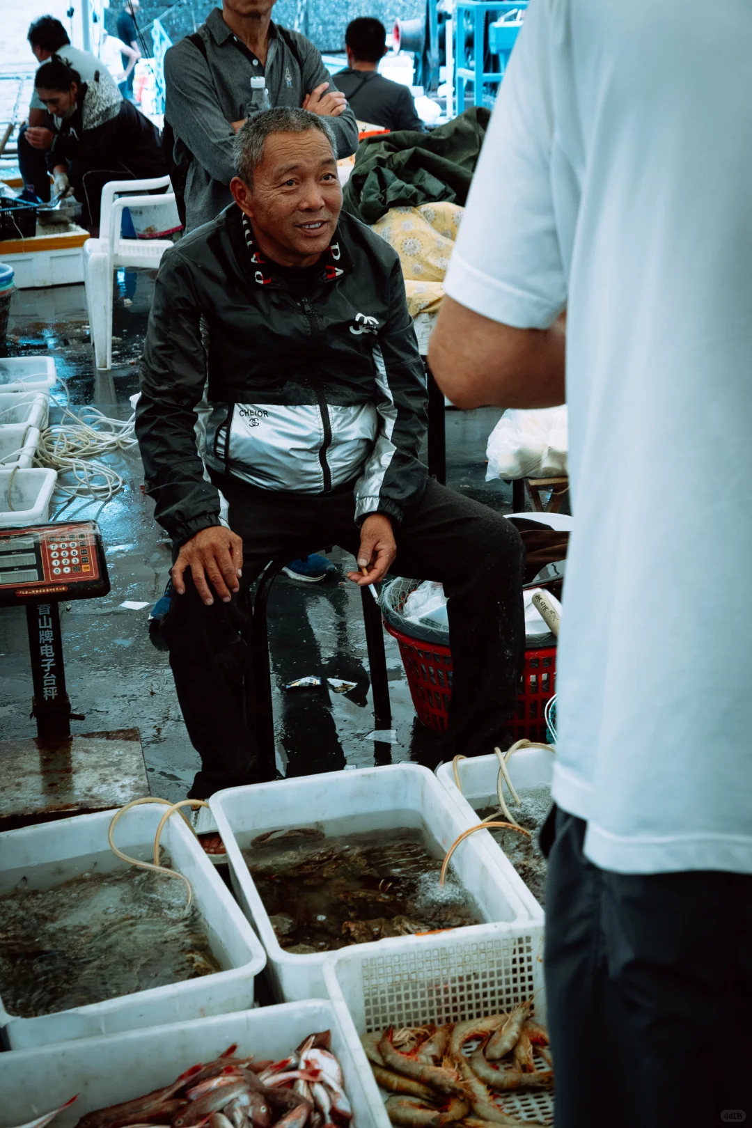 在忙碌的码头看热闹 青岛小港码头 好吃好拍