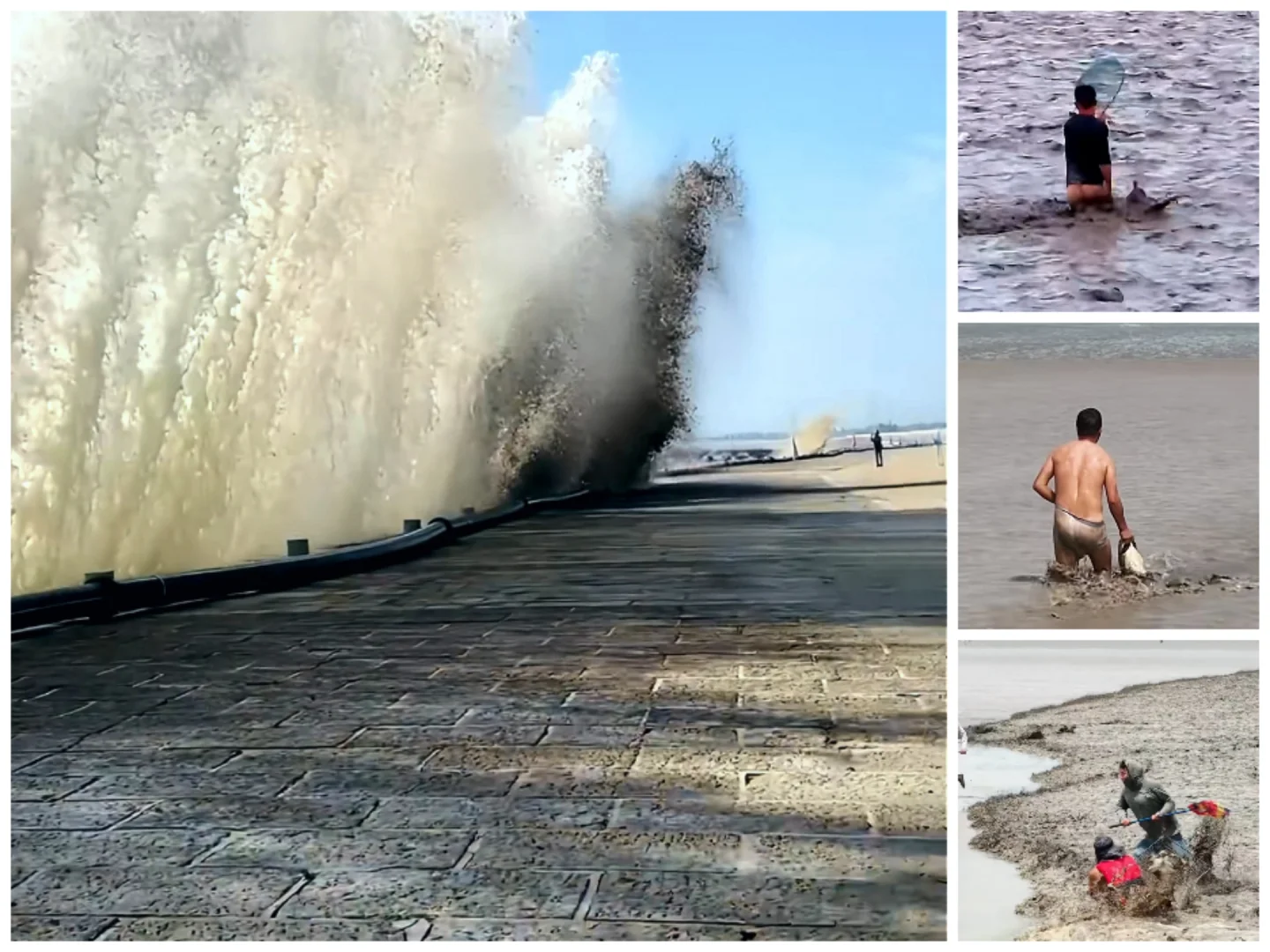 潮尖上的非遗 ～ 抢潮头鱼