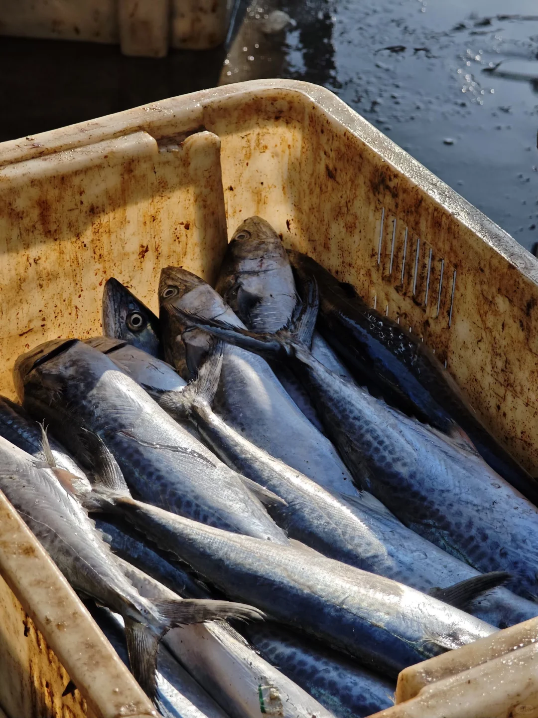 我爸让我给他发网上宣传下，我也不会啊🙂