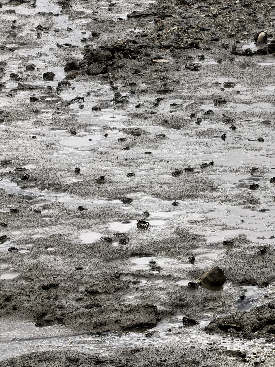 休渔期滩涂上的渔船ℓ大连庄河