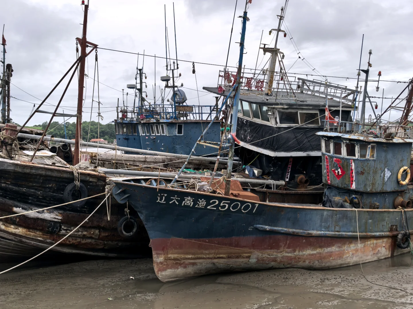 休渔期滩涂上的渔船ℓ大连庄河