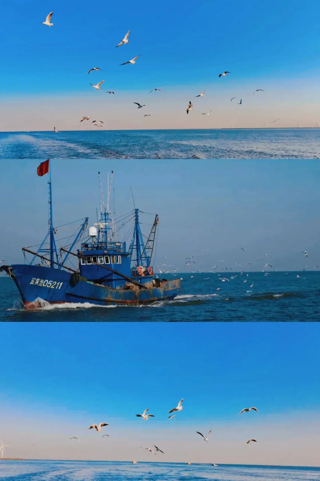 日照出海捕鱼攻略