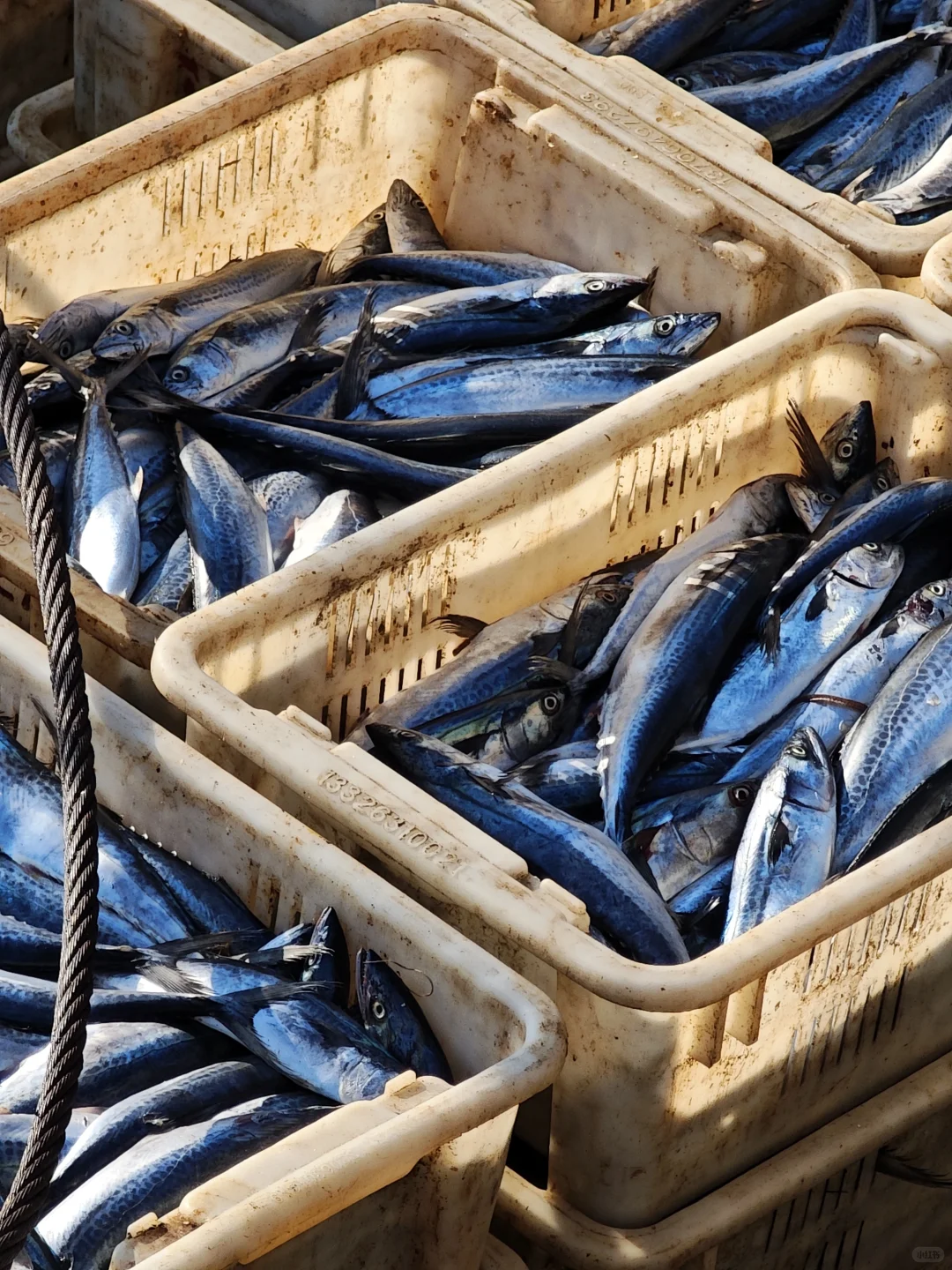 我爸让我给他发网上宣传下，我也不会啊🙂