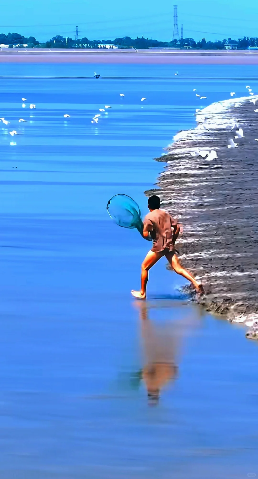 潮尖上的非遗 ～ 抢潮头鱼