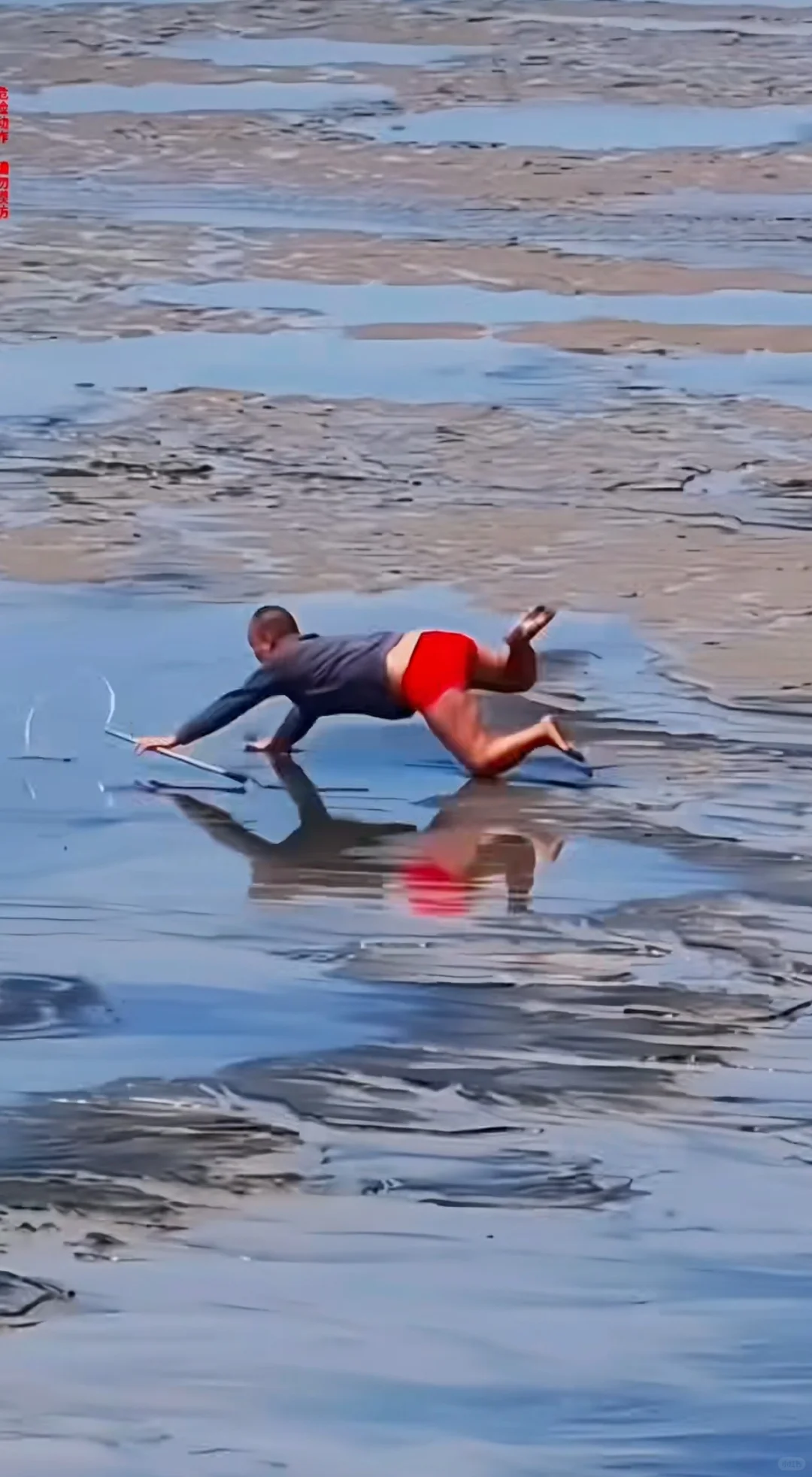 潮尖上的非遗 ～ 抢潮头鱼