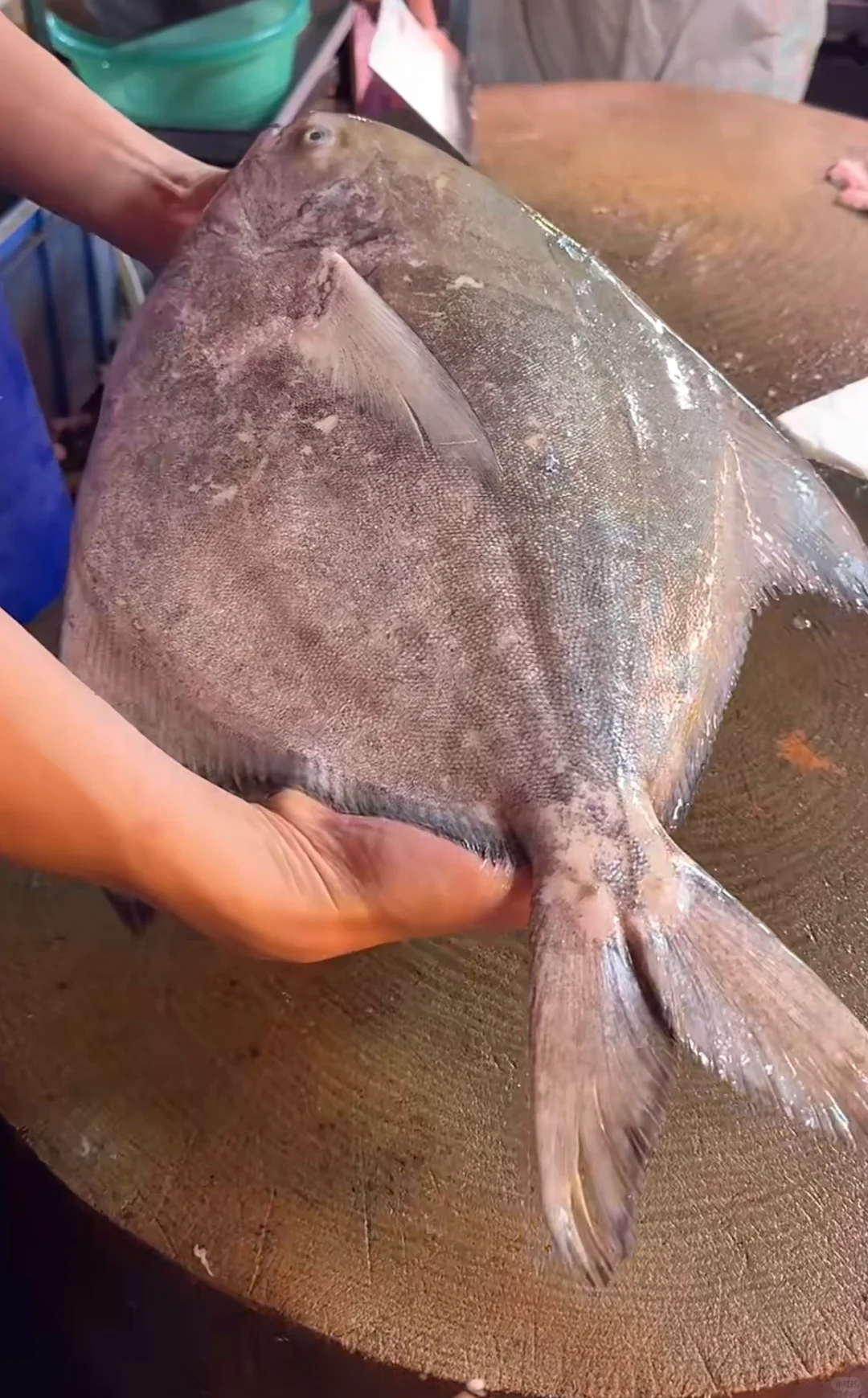 渔船回港啦！渔民出海捕鱼日常生活