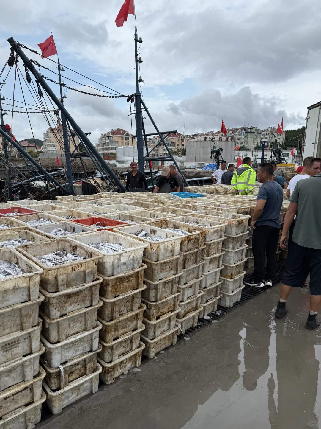 渔船到港！渔获满🈵……