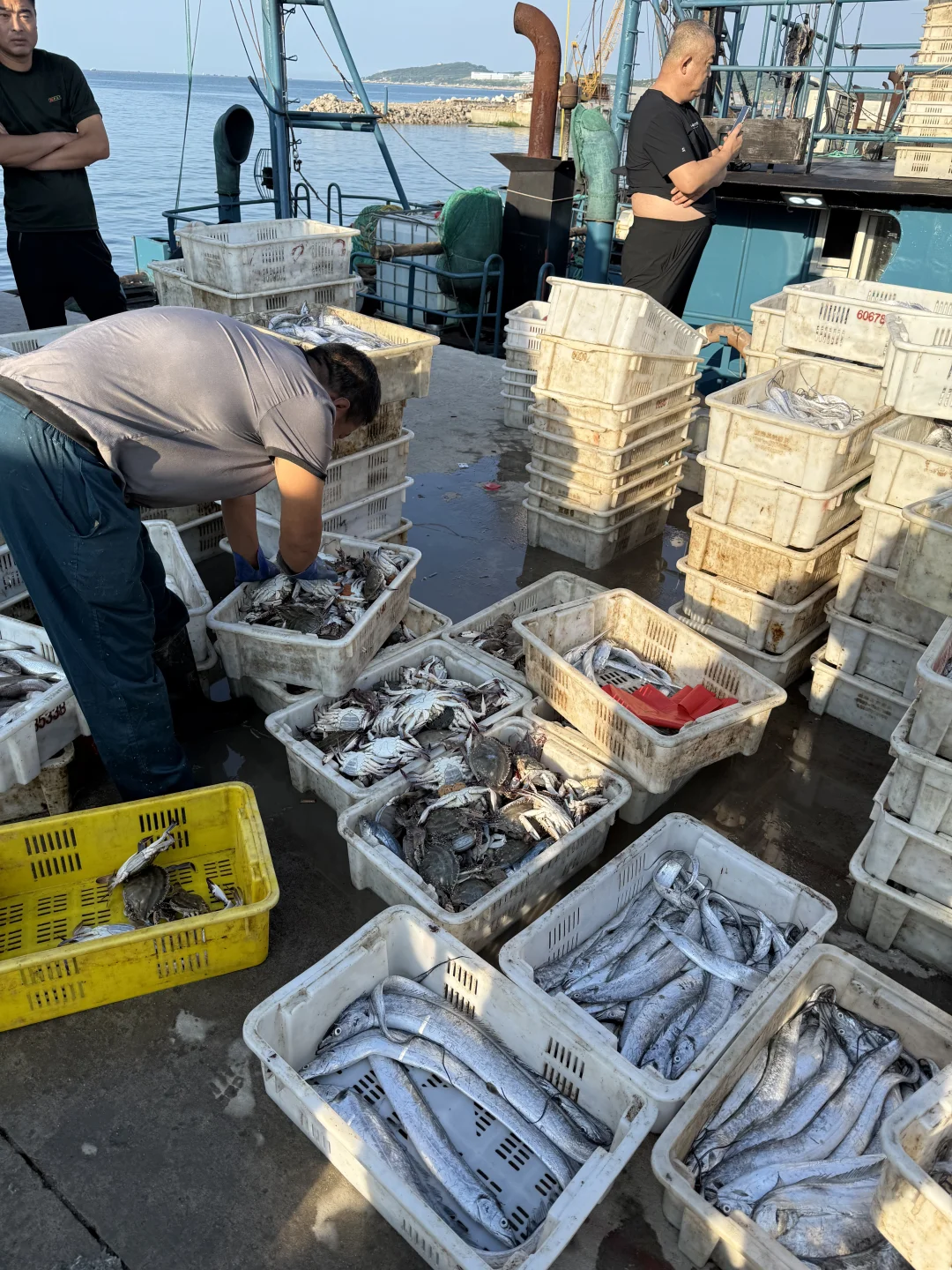 渔船靠岸，渔获满满！想吃的🙋🏻‍♀️