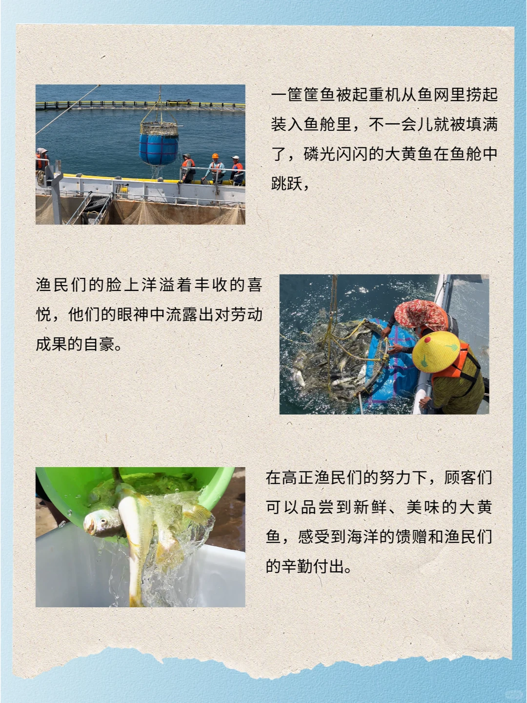 秋日捕捞季，品尝大黄鱼的鲜嫩口感💖