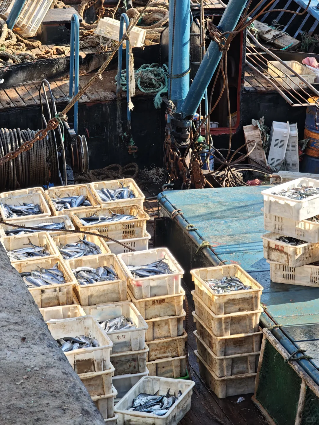 我爸让我给他发网上宣传下，我也不会啊🙂