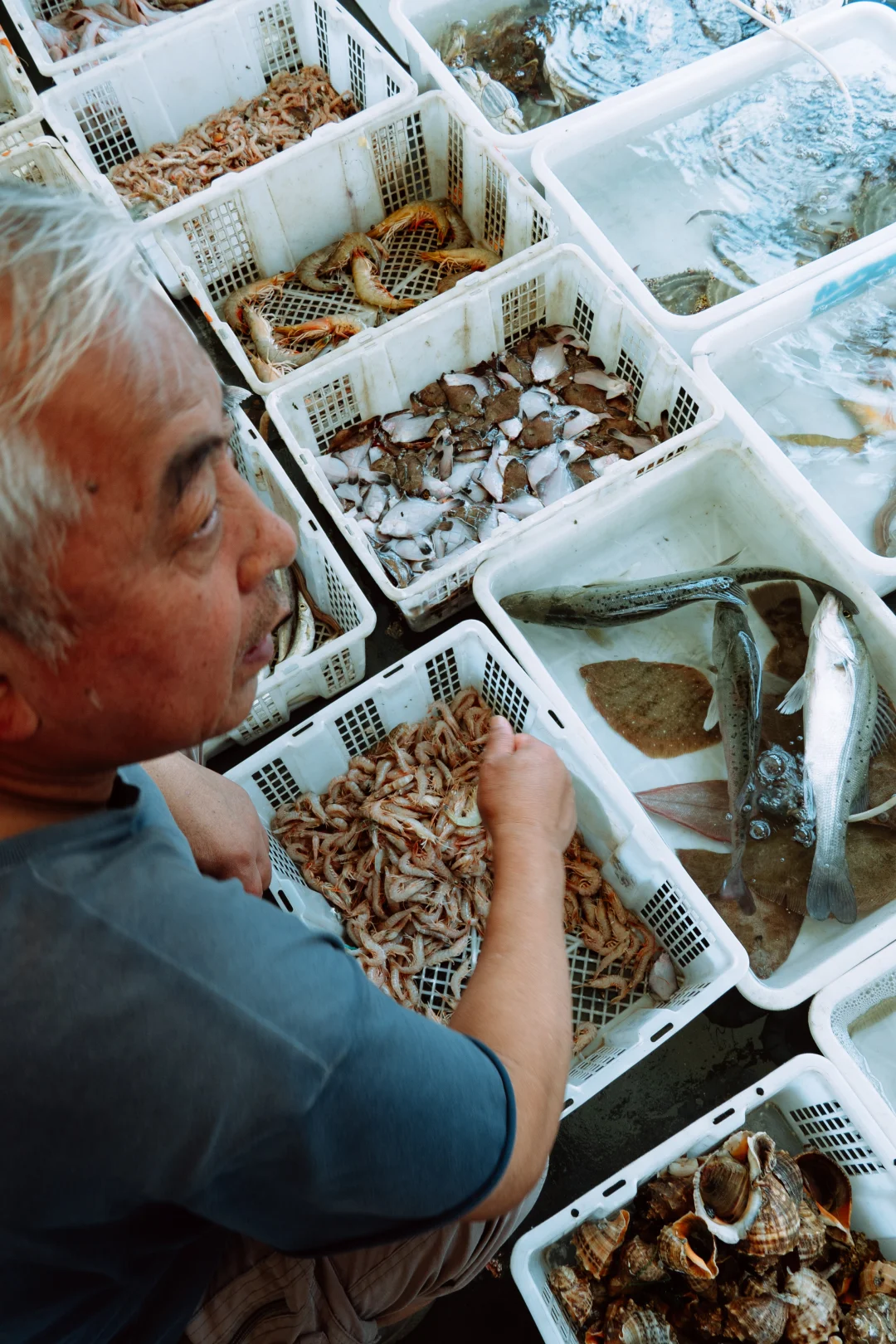 在忙碌的码头看热闹 青岛小港码头 好吃好拍