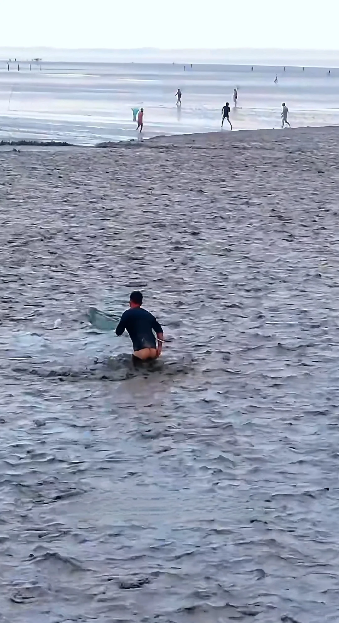 潮尖上的非遗 ～ 抢潮头鱼