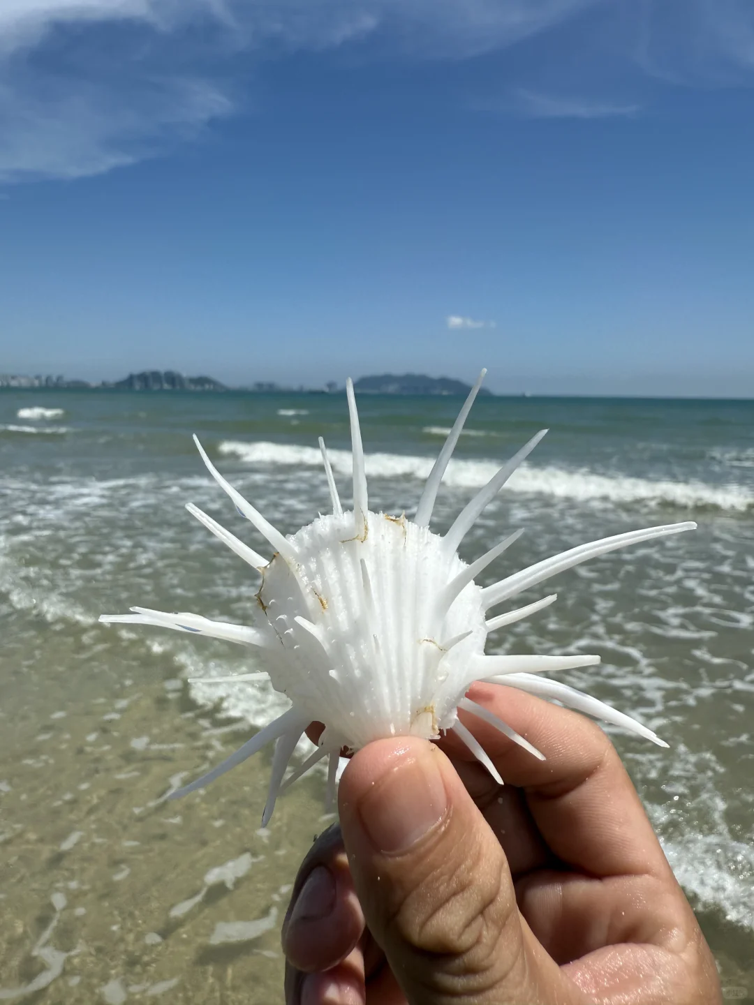 陵水的海里真有点东西