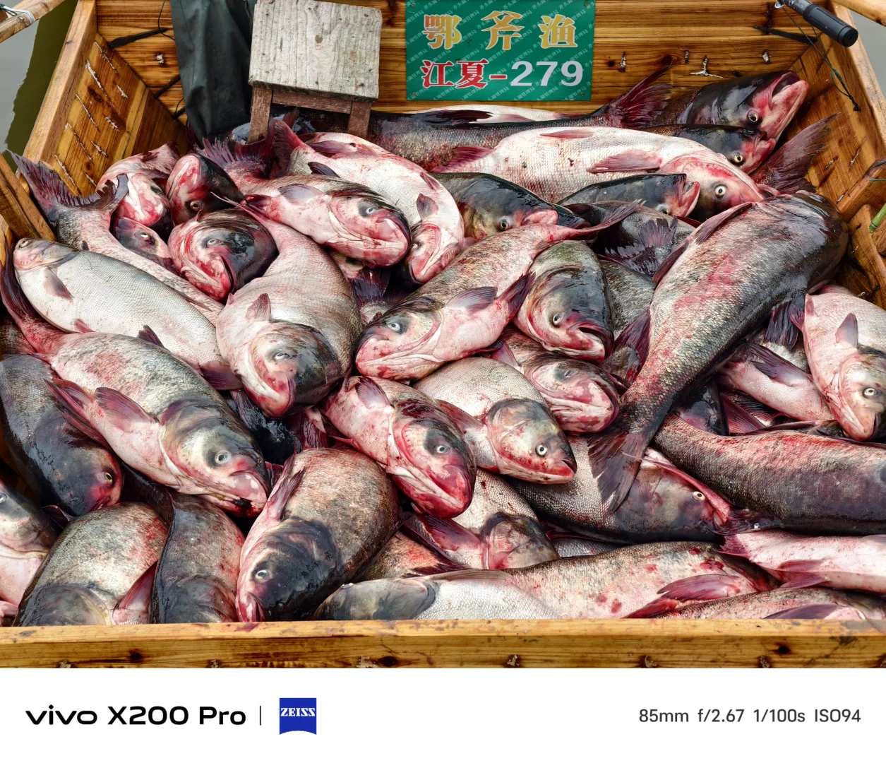 开湖啦！渔村又热闹起来了