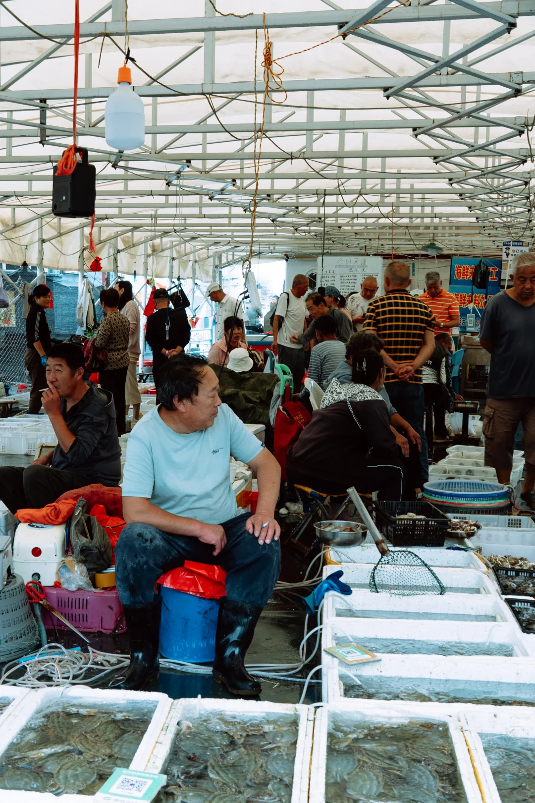 在忙碌的码头看热闹 青岛小港码头 好吃好拍