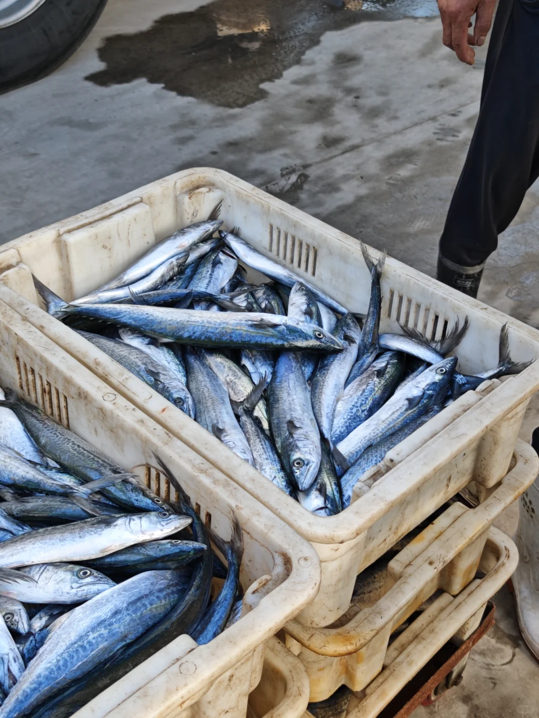 我爸让我给他发网上宣传下，我也不会啊🙂