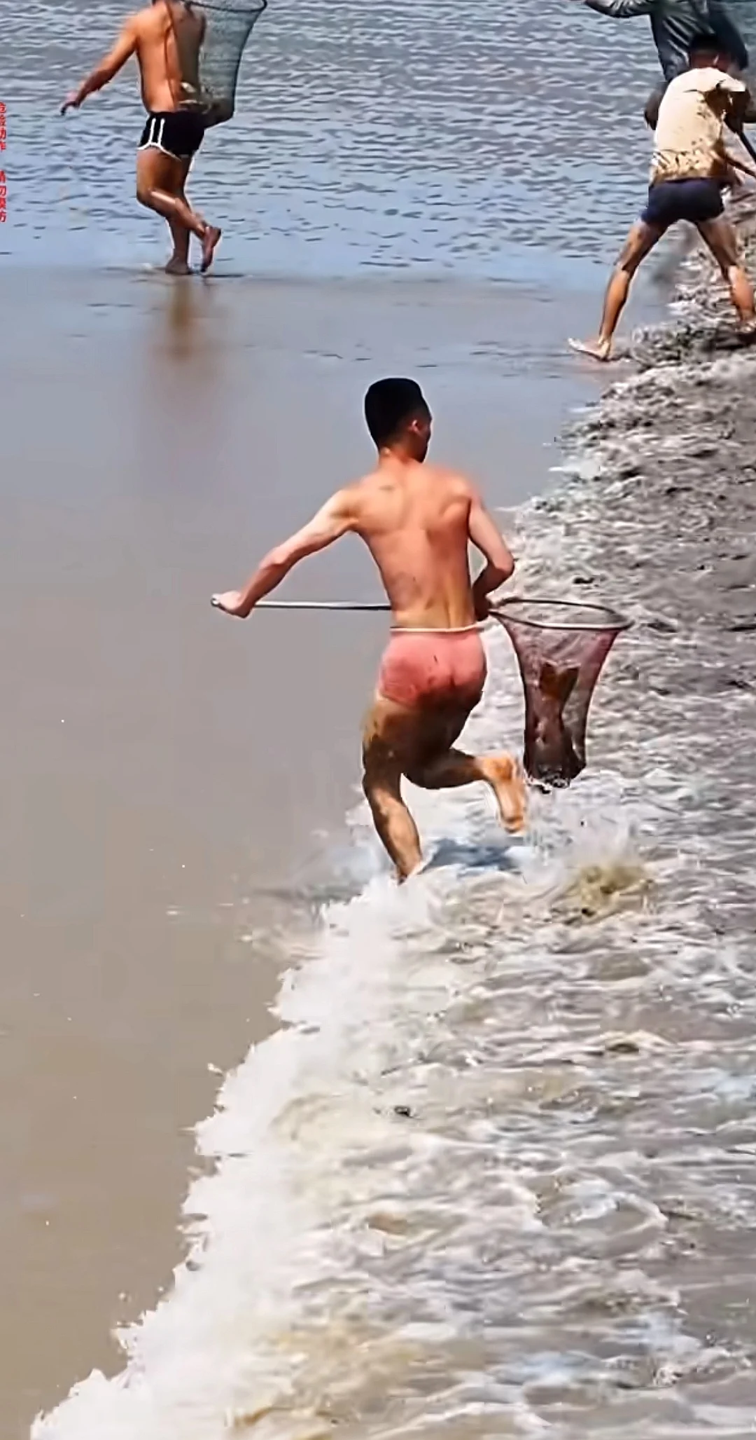 潮尖上的非遗 ～ 抢潮头鱼