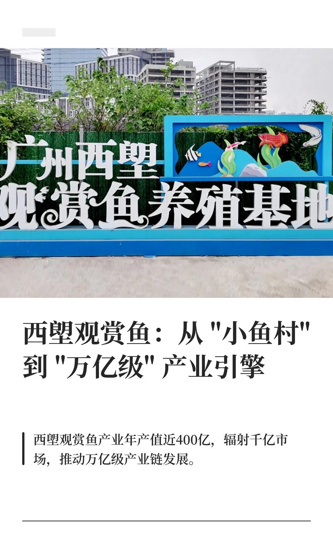 西塱观赏鱼：从 
