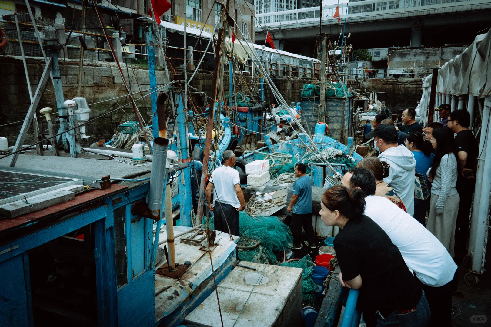 在忙碌的码头看热闹 青岛小港码头 好吃好拍