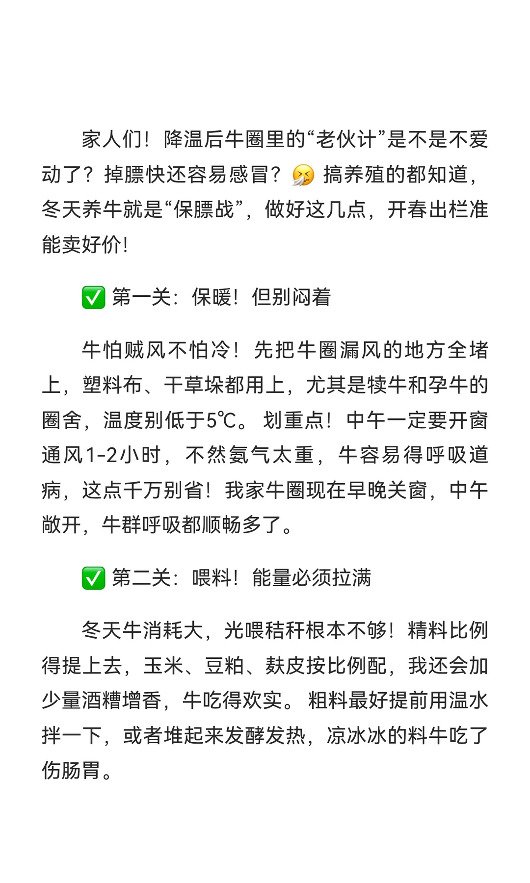 冬季肉牛养殖秘籍🔥 膘肥体壮少生病的关