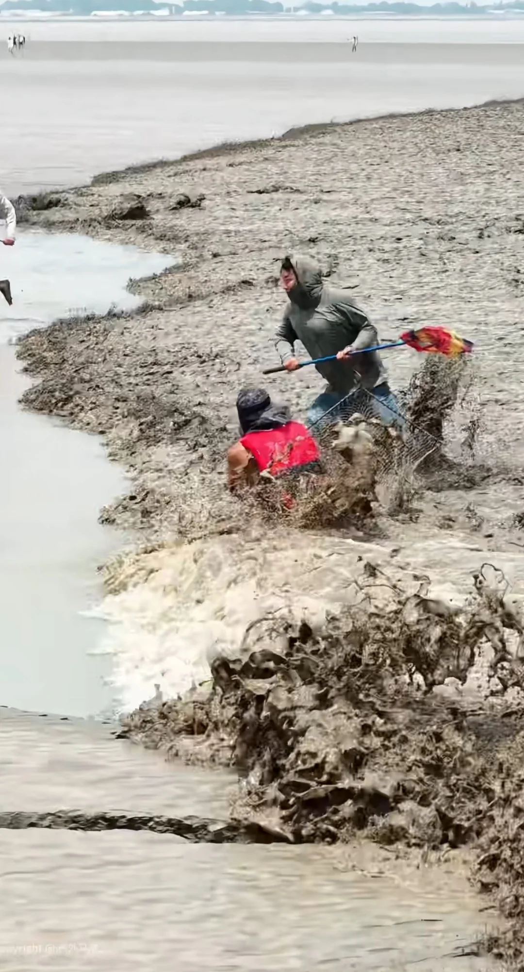 潮尖上的非遗 ～ 抢潮头鱼