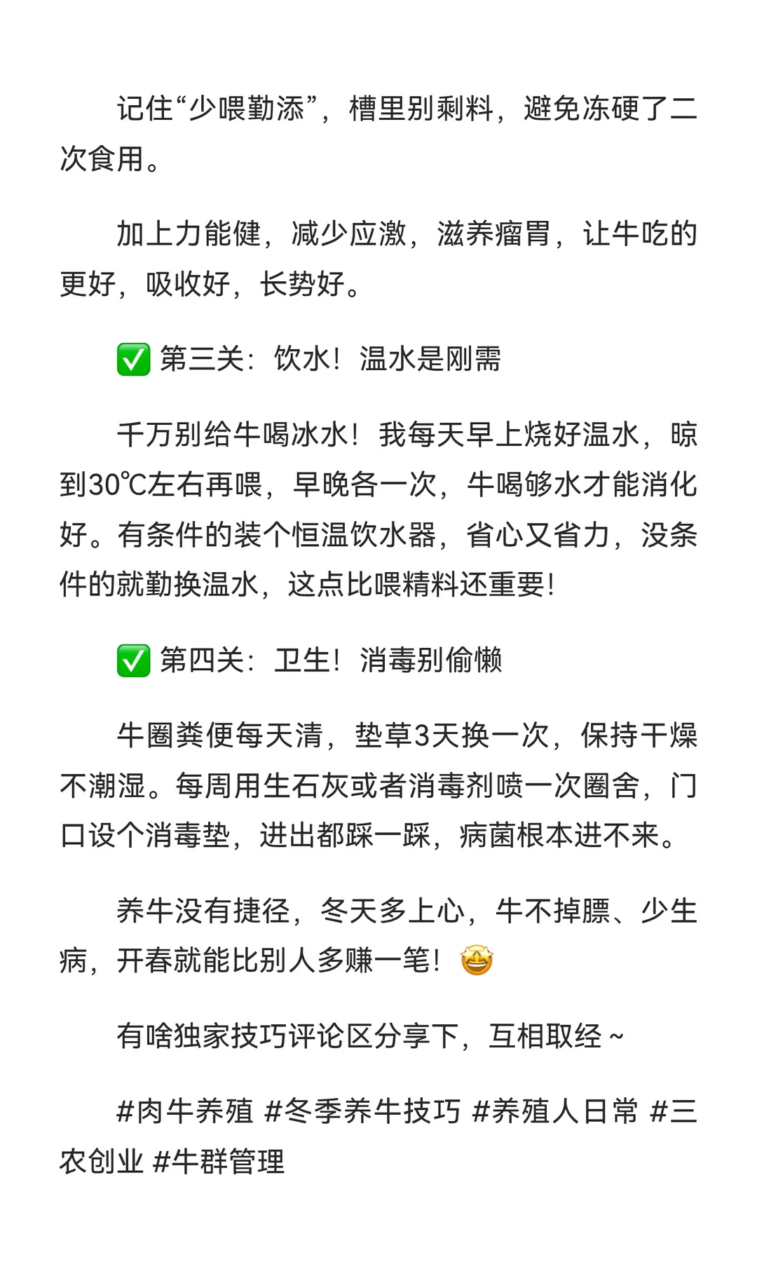 冬季肉牛养殖秘籍🔥 膘肥体壮少生病的关