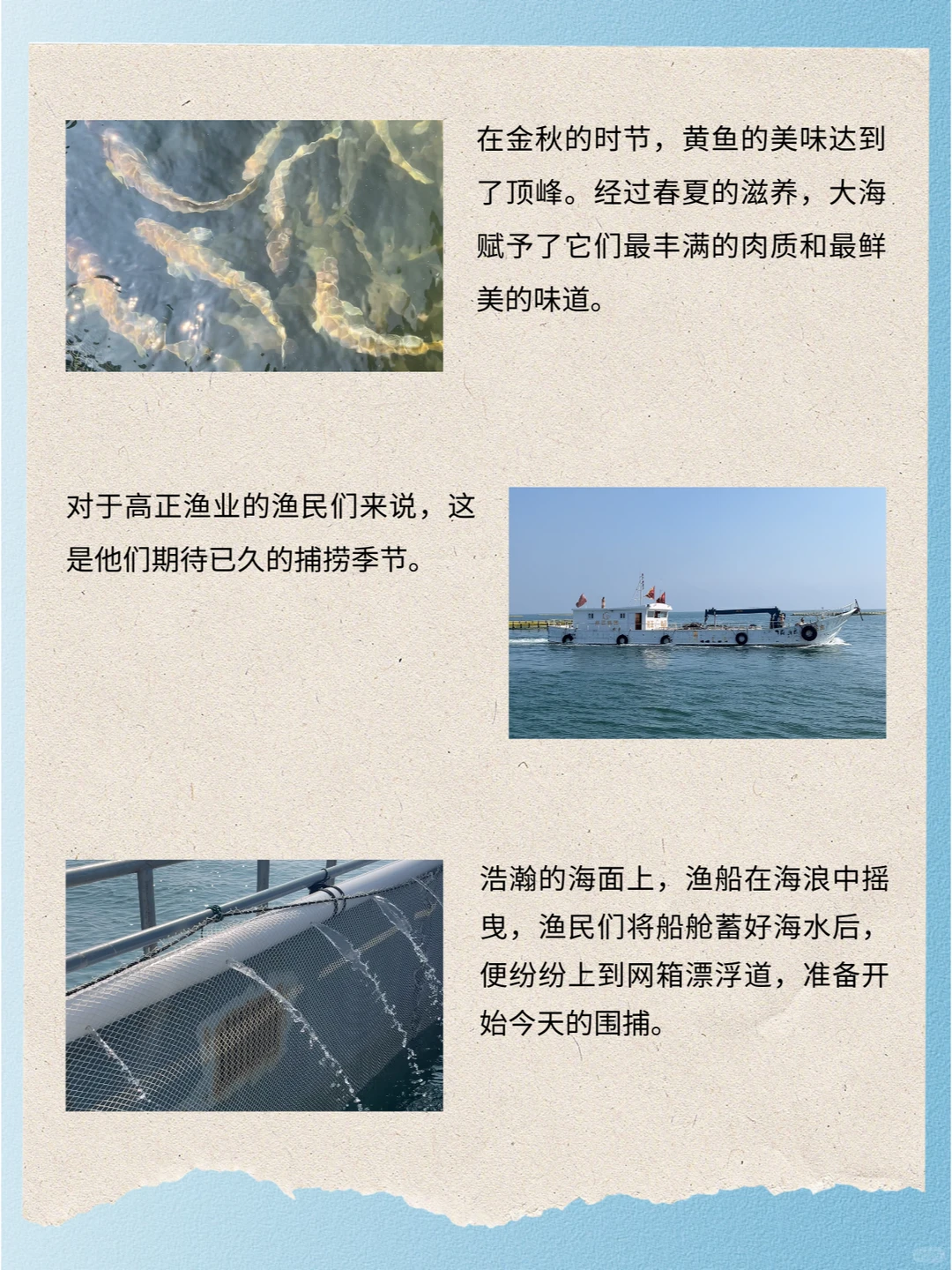 秋日捕捞季，品尝大黄鱼的鲜嫩口感💖