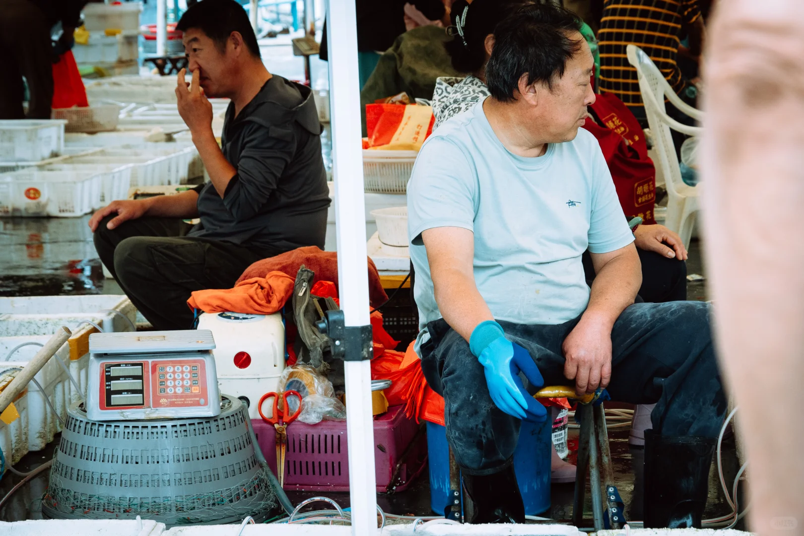 在忙碌的码头看热闹 青岛小港码头 好吃好拍