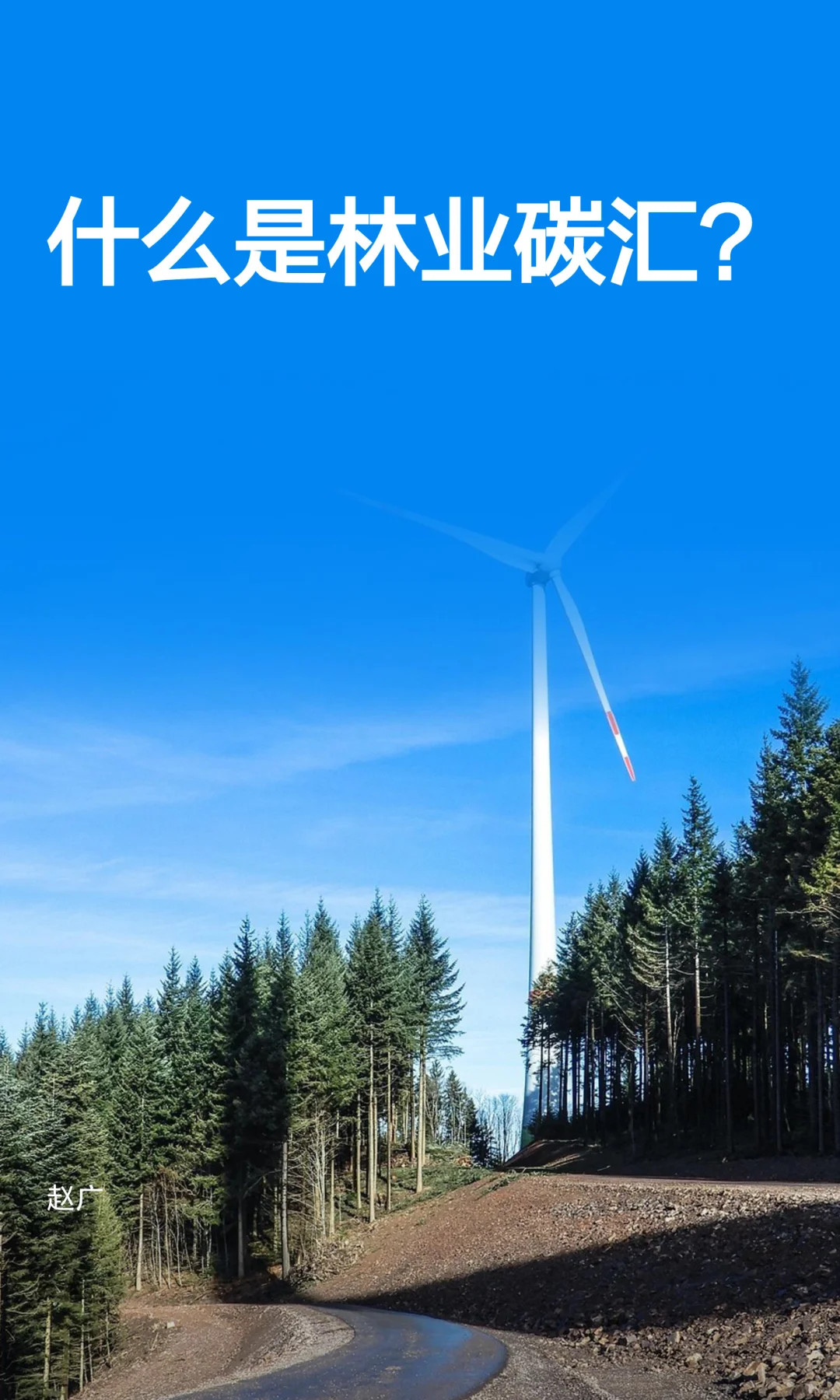 什么是林业碳汇？