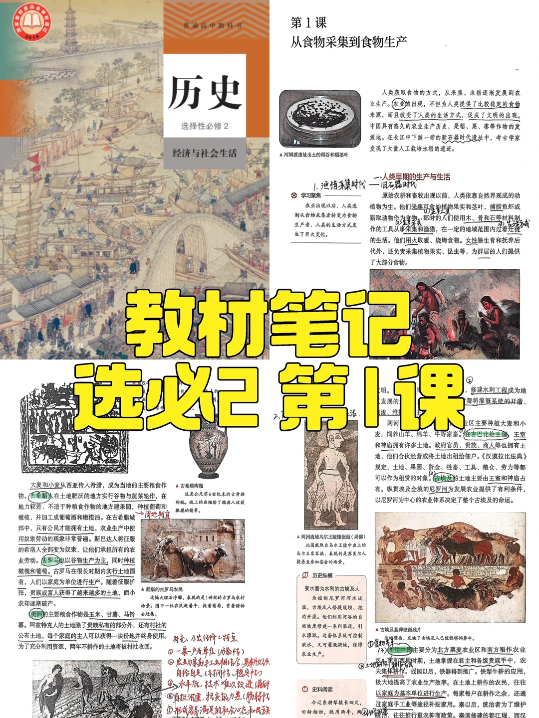 教材笔记｜选必2 第1课（含课后背诵清单）