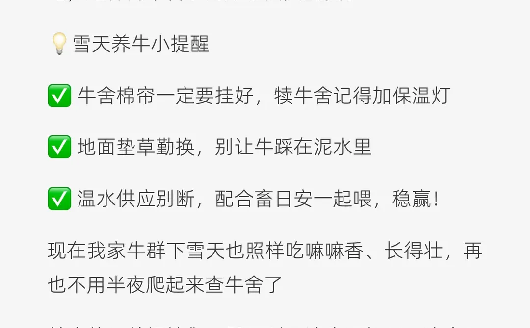 雪天养牛别硬扛！有它牛群稳如老狗🐂