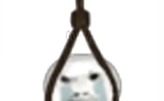 新来的会计，连税负率都不会算，我要抓狂了