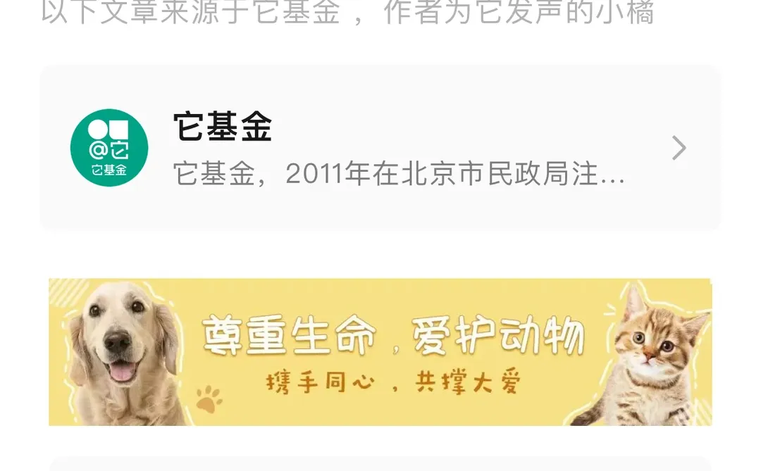 为《反虐待动物保护法》积极献言