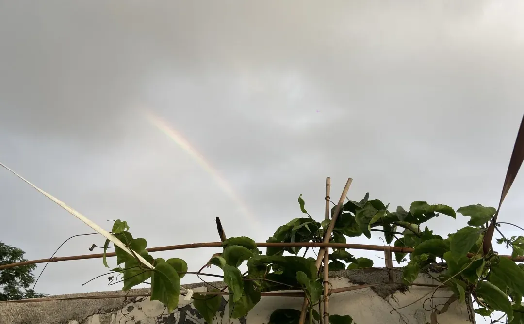 不需要学历，不需要文凭，要的是对农业的心！