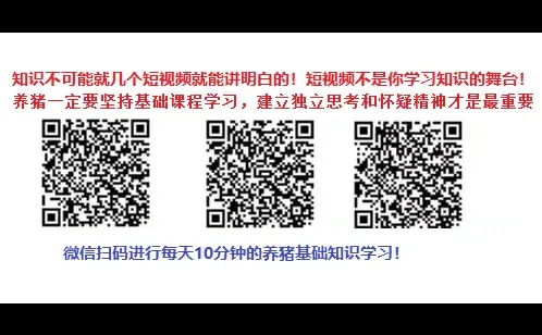 生猪黄金时代，你准备好了吗？